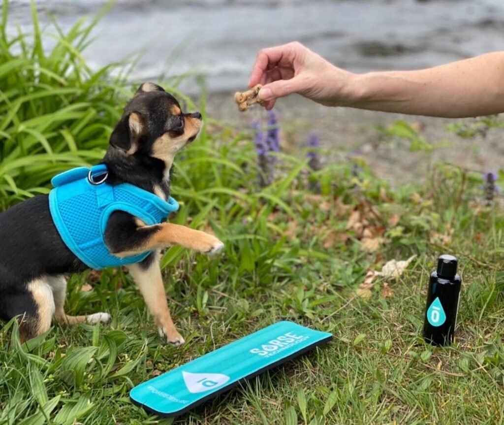 SoRSE CBD Bow-Wow Blueberry Treats