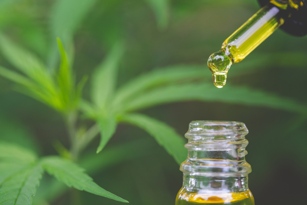 What you need to know about cbd sorse technology