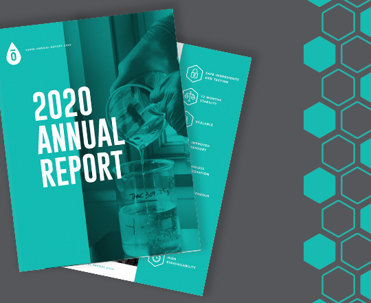 report_annual report_annual